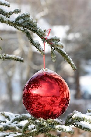 simsearch:400-07103223,k - Red Bauble on Christmas Tree with Reflection Stock Photo - Budget Royalty-Free & Subscription, Code: 400-05663310