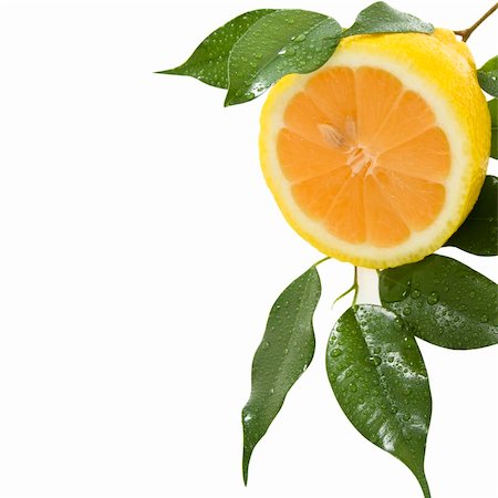 simsearch:400-04716078,k - Ripe half of lemon with leaves, isolated on white background Stock Photo - Budget Royalty-Free & Subscription, Code: 400-05663347
