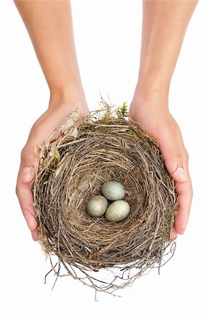 Young woman holding blackbird nest over white background Stock Photo - Budget Royalty-Free & Subscription, Code: 400-05676435