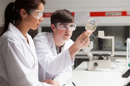 simsearch:400-05669968,k - Serious students in science looking at a Petri dish in a laboratory Stock Photo - Budget Royalty-Free & Subscription, Code: 400-05670004