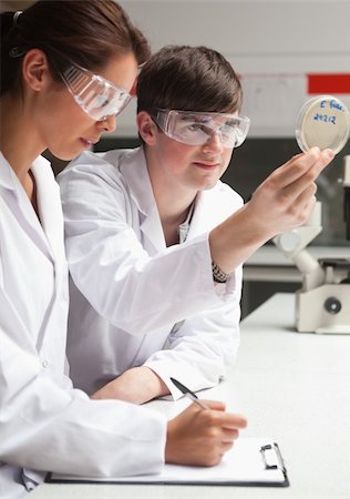 simsearch:400-05669968,k - Portrait of serious students in science looking at a Petri dish in a laboratory Stock Photo - Budget Royalty-Free & Subscription, Code: 400-05670005