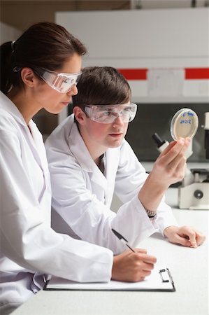 simsearch:400-05669968,k - Portrait of focused students in science looking at a Petri dish in a laboratory Stock Photo - Budget Royalty-Free & Subscription, Code: 400-05670006
