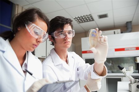 simsearch:400-05669968,k - Students in science looking at a Petri dish in a laboratory Stock Photo - Budget Royalty-Free & Subscription, Code: 400-05670002