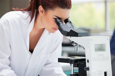 simsearch:400-05669968,k - Scientist looking into a microscope in a laboratory Stock Photo - Budget Royalty-Free & Subscription, Code: 400-05670341