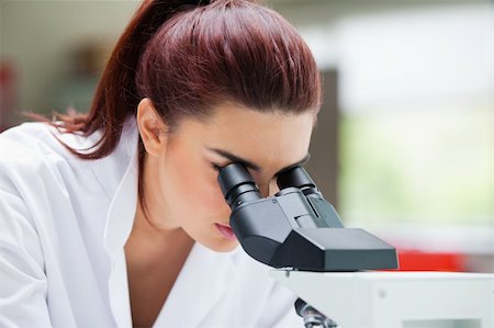 simsearch:400-05669968,k - Close up of a scientist looking into a microscope in a laboratory Stock Photo - Budget Royalty-Free & Subscription, Code: 400-05670343