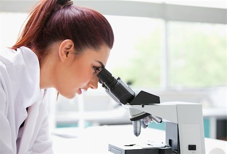 simsearch:400-05669968,k - Brunette looking into a microscope in a laboratory Stock Photo - Budget Royalty-Free & Subscription, Code: 400-05670351