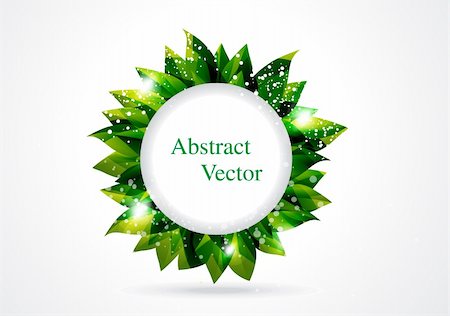 simsearch:400-05698489,k - abstract green leaf in circle vector illustration Stock Photo - Budget Royalty-Free & Subscription, Code: 400-05684704