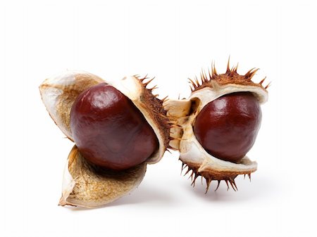 Two horse chestnuts close-up. Isolated on white background Stock Photo - Budget Royalty-Free & Subscription, Code: 400-05685429