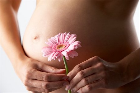 pregnancy nude - Pregnant Woman Holding Pink Gerbera Flower Stock Photo - Budget Royalty-Free & Subscription, Code: 400-05686499