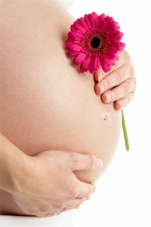 pregnancy nude - Pregnant Woman Holding Pink Gerbera Flower Stock Photo - Budget Royalty-Free & Subscription, Code: 400-05686511