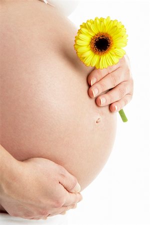 pregnancy nude - Pregnant Woman Holding Yellow Gerbera Flower Stock Photo - Budget Royalty-Free & Subscription, Code: 400-05686512