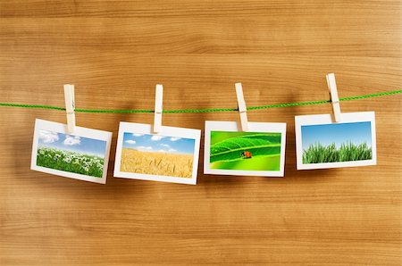 peg - Nature photos in picture frames Stock Photo - Budget Royalty-Free & Subscription, Code: 400-05687682
