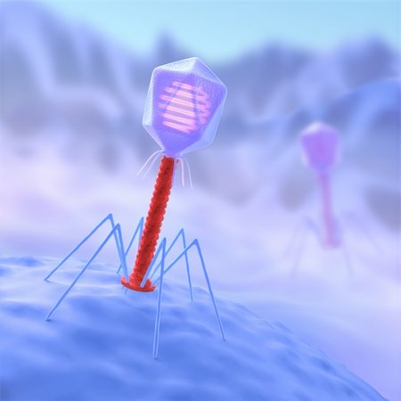 Concept of attack. Bacteriophage are viruses that infect bacteria. Stock Photo - Budget Royalty-Free & Subscription, Code: 400-05688960