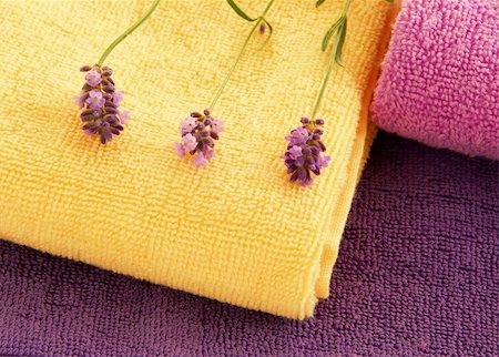 simsearch:6118-08910345,k - magenta, purple and yellow towels with lavender flowers Stock Photo - Budget Royalty-Free & Subscription, Code: 400-05680258
