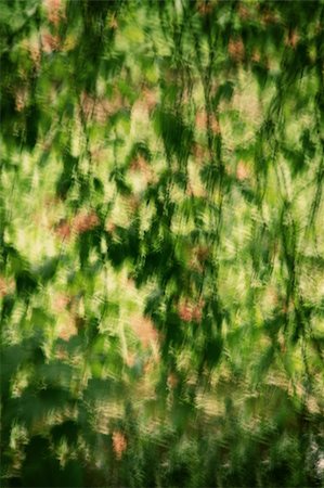 simsearch:400-06141235,k - Abstract collorfull spring background Stock Photo - Budget Royalty-Free & Subscription, Code: 400-05695469