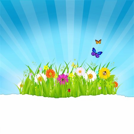 simsearch:400-04817406,k - Green Grass With Flowers And Paper, Vector Illustration Stock Photo - Budget Royalty-Free & Subscription, Code: 400-05693576