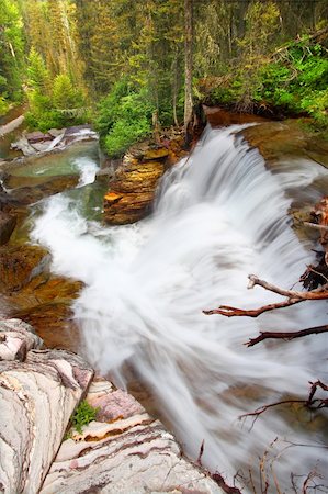 simsearch:400-05705152,k - Beautiful waterfall flows through the pine forests of Glacier National Park in Montana. Stock Photo - Budget Royalty-Free & Subscription, Code: 400-05705151