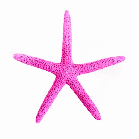 simsearch:400-04638536,k - pink starfish is isolated on a white background Stock Photo - Budget Royalty-Free & Subscription, Code: 400-05705959