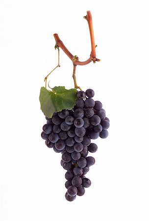simsearch:846-03166143,k - Pinot Noir grapes Stock Photo - Budget Royalty-Free & Subscription, Code: 400-05701959