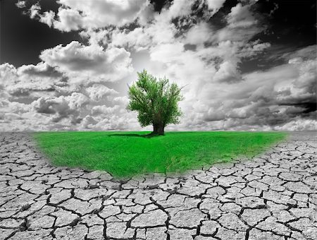 environmental impact - Concept of environment with tree and dry soil Stock Photo - Budget Royalty-Free & Subscription, Code: 400-05702946
