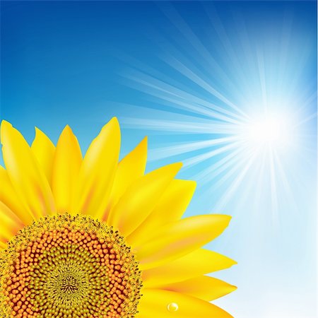 simsearch:400-05671297,k - Blue Sky And Sunflower, Vector Illustration Stock Photo - Budget Royalty-Free & Subscription, Code: 400-05715918