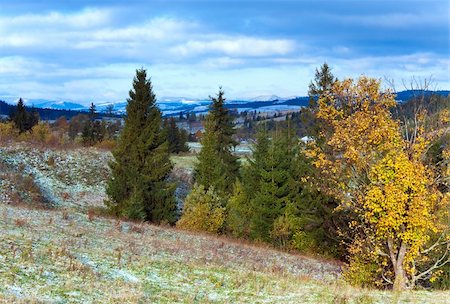 October Carpathian mountain plateau with first winter snow and autumn colorful foliage Stock Photo - Budget Royalty-Free & Subscription, Code: 400-05719586