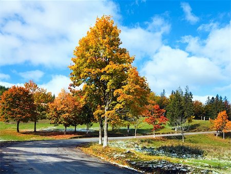 First winter snow and autumn colorful foliage near mountain secondary road (Carpathian, Ukraine) Stock Photo - Budget Royalty-Free & Subscription, Code: 400-05719589