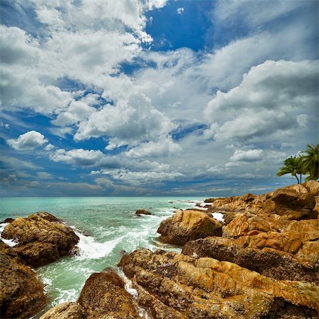 simsearch:400-05703164,k - Beautiful square seascape with rocks and palms Stock Photo - Budget Royalty-Free & Subscription, Code: 400-05710905