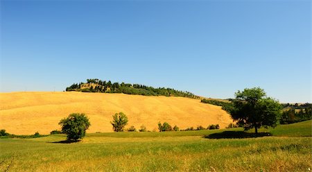 simsearch:400-05711931,k - Farmhouse Surrounded By Sloping Meadows Of Tuscany Stock Photo - Budget Royalty-Free & Subscription, Code: 400-05711485