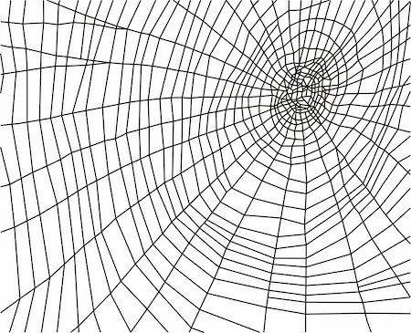 spider web - vector drawing of network Stock Photo - Budget Royalty-Free & Subscription, Code: 400-05713097