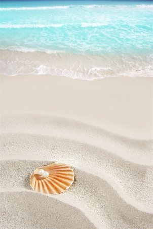 simsearch:400-06137034,k - Caribbean pearl on shell in white wavy sand beach of a tropical turquoise sea Photographie de stock - Aubaine LD & Abonnement, Code: 400-05724658