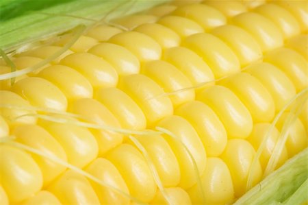 Macro of the corn cob , shallow DOF photo Stock Photo - Budget Royalty-Free & Subscription, Code: 400-05724830