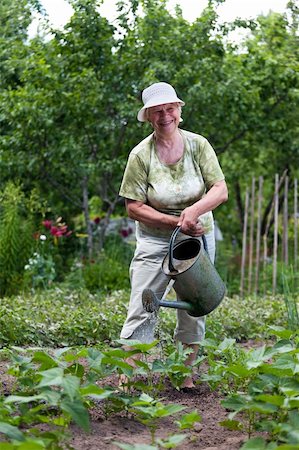 Happy senior woman working in her garden Stock Photo - Budget Royalty-Free & Subscription, Code: 400-05728500