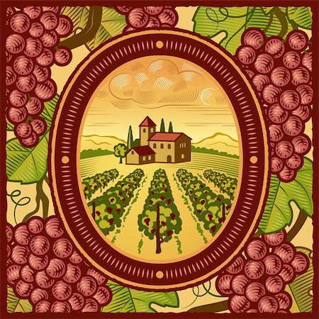 Retro vineyard in woodcut style. Vector illustration with clipping mask. Stock Photo - Budget Royalty-Free & Subscription, Code: 400-05734425