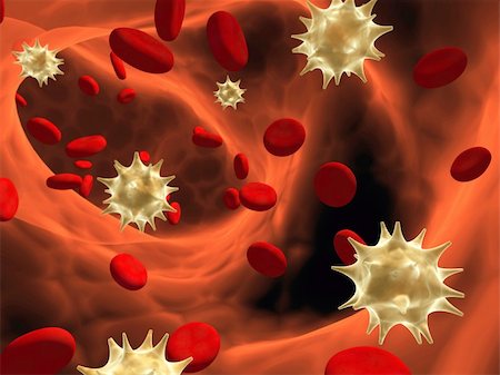 Viruses floating among erythrocytes Stock Photo - Budget Royalty-Free & Subscription, Code: 400-05735187