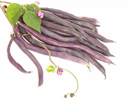 simsearch:400-05744520,k - Violet kidney beans with leaves and flowers isolated on white background Stock Photo - Budget Royalty-Free & Subscription, Code: 400-05736008