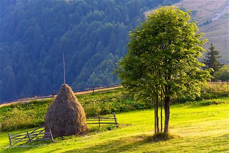 simsearch:400-05719580,k - Summer mountain landscape with haystack and lonely tree Photographie de stock - Aubaine LD & Abonnement, Code: 400-05736910