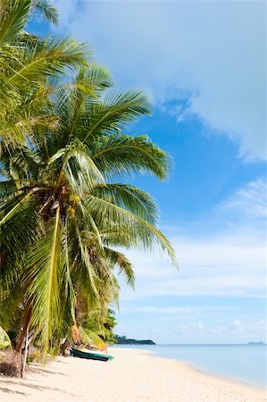 Tropical beach with coconut palm trees at Seychelles Stock Photo - Budget Royalty-Free & Subscription, Code: 400-05738580