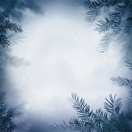 Border winter nature background. View through the pine branch with berries Stock Photo - Budget Royalty-Free & Subscription, Code: 400-05739498