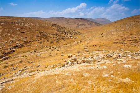 rocky dirt hill - Big Stones in Sand Hills of Samaria, Israel Stock Photo - Budget Royalty-Free & Subscription, Code: 400-05732154