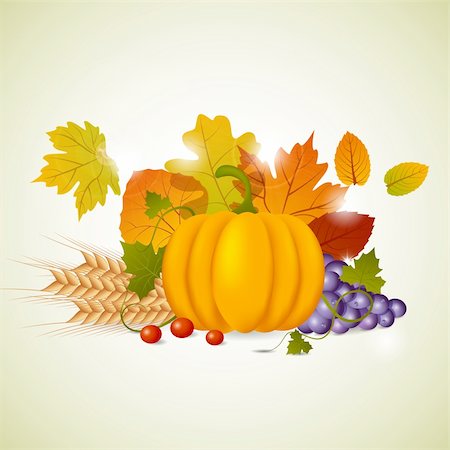 Vector pumpkin and leaves Stock Photo - Budget Royalty-Free & Subscription, Code: 400-05733455