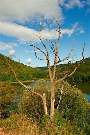 french country river photos - View to the Forest Lake in the French Alps Stock Photo - Budget Royalty-Free & Subscription, Code: 400-05744606