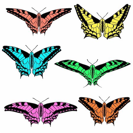 simsearch:400-05706564,k - Vector set of beautiful butterflies. Stock Photo - Budget Royalty-Free & Subscription, Code: 400-05746391