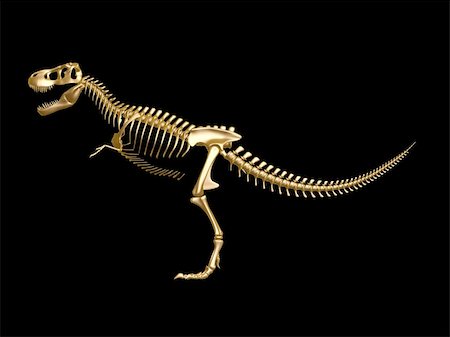fossil - golden  tyrannosaurus Dinosaur skeleton isolated on dark background Stock Photo - Budget Royalty-Free & Subscription, Code: 400-05748524
