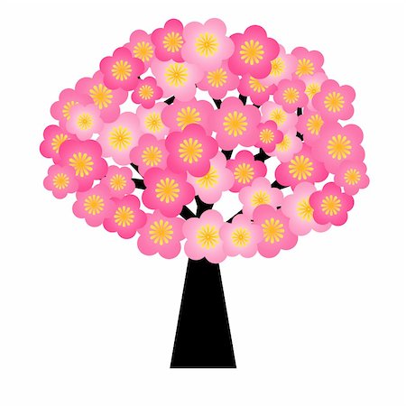 pergola illustration - Spring Cherry Blossom Flowers Blooming on Tree Illustration Isolated on White Background Stock Photo - Budget Royalty-Free & Subscription, Code: 400-05740553