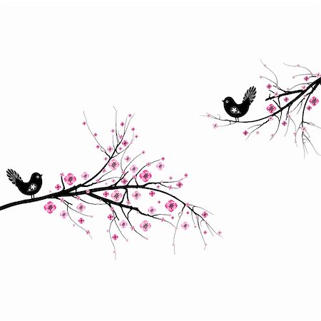 Beautiful blossom cherry and birds isolated on white background Stock Photo - Budget Royalty-Free & Subscription, Code: 400-05752584
