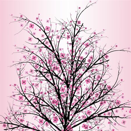 Beautiful blossom cherry isolated on pink background Stock Photo - Budget Royalty-Free & Subscription, Code: 400-05752588