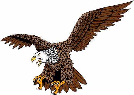 simsearch:400-04083265,k - Detailed eagle vector illustration Stock Photo - Budget Royalty-Free & Subscription, Code: 400-05877324
