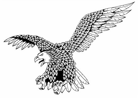 simsearch:400-04083265,k - Detailed eagle vector illustration Stock Photo - Budget Royalty-Free & Subscription, Code: 400-05877323