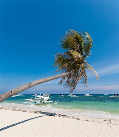 simsearch:400-04418173,k - single palm tree on a philippine beach Stock Photo - Budget Royalty-Free & Subscription, Code: 400-05877856